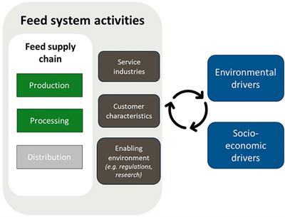 Conceptualization of the Norwegian feed system of farmed Atlantic salmon